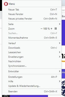 Open a new private window in Opera.